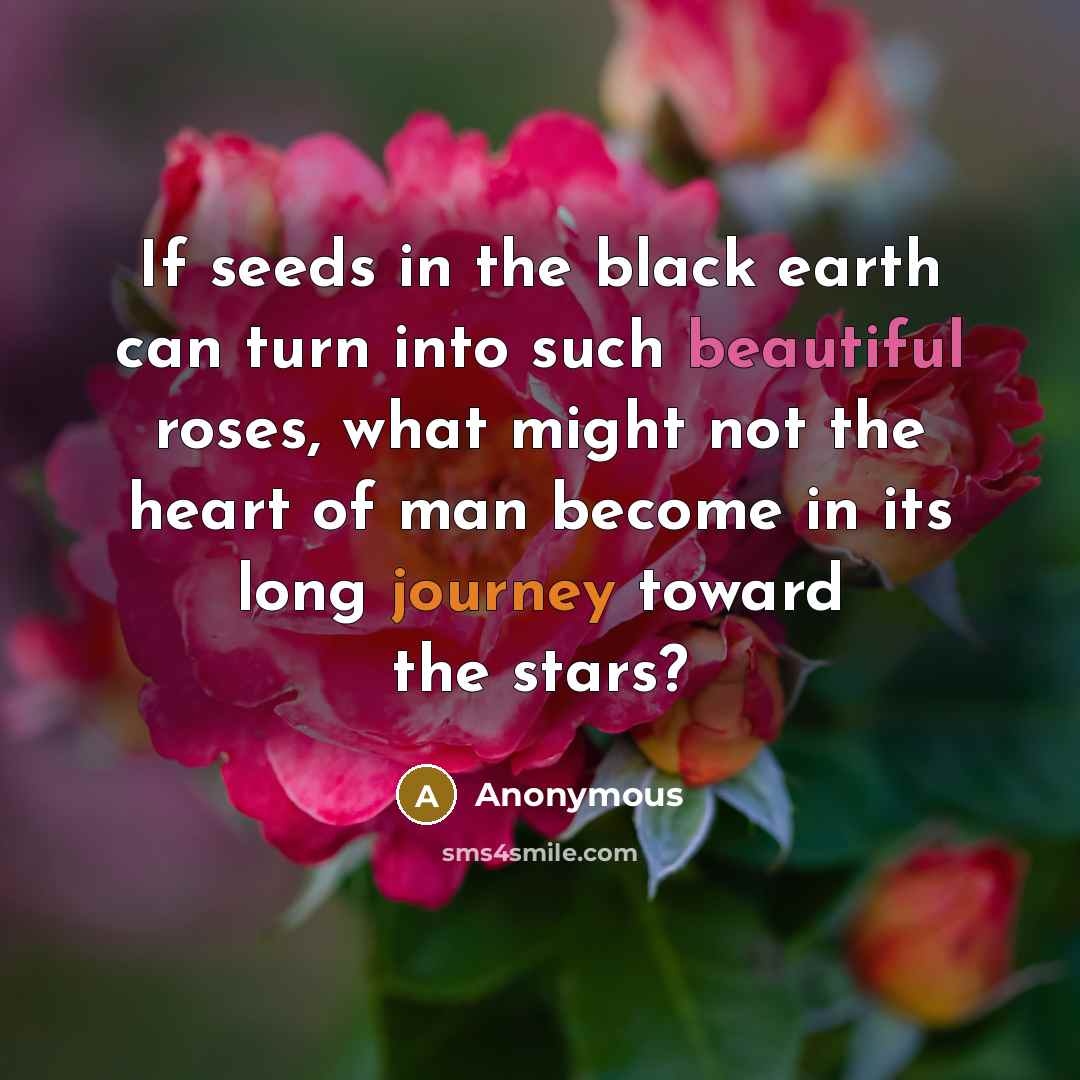 “If seeds in the black earth can turn into such beautiful roses, what might not the heart of man become in its long journey toward the stars?” quote by Anonymous