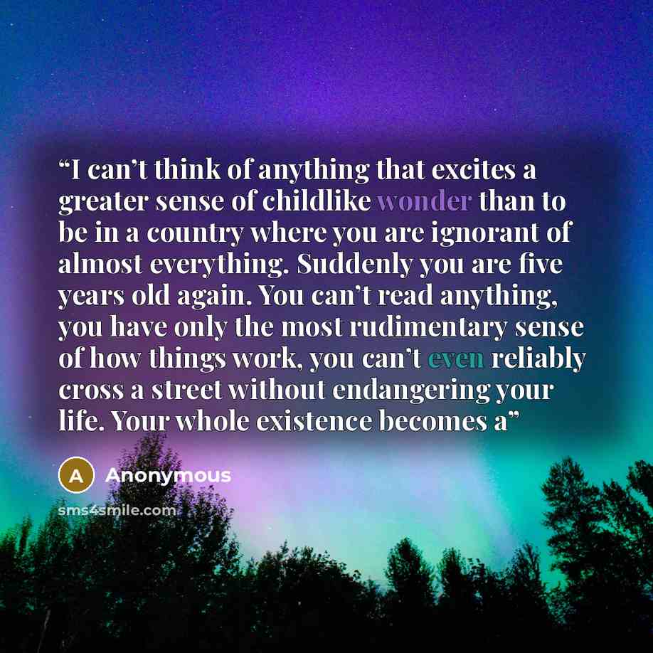 “I can’t think of anything that excites a greater sense of childlike wonder than to be in a country where you are ignorant of almost everything. Suddenly you are five years old again. You can’t read anything, you have only the most rudimentary sense of how things work, you can’t even reliably cross…” quote by Anonymous