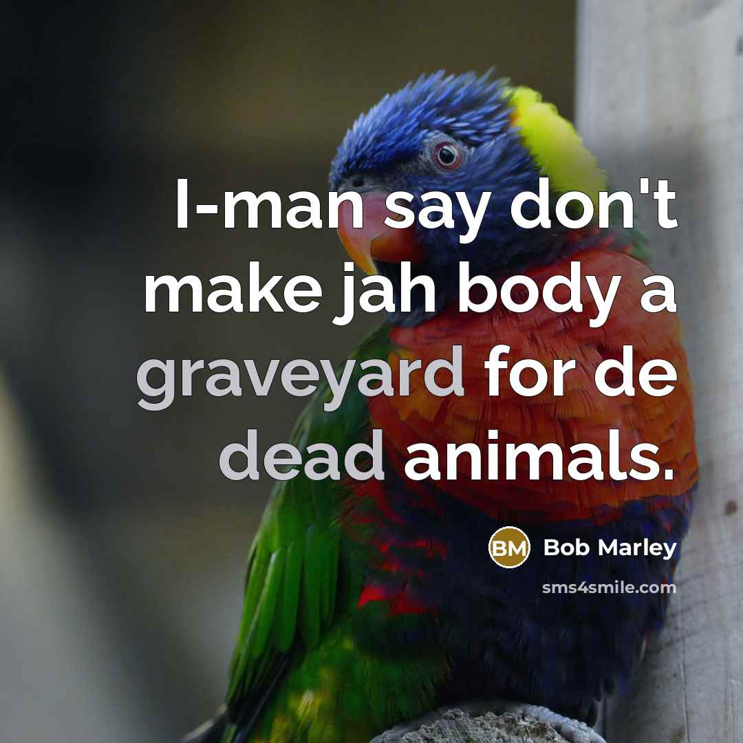 “I-man say don't make jah body a graveyard for de dead animals.” quote by Bob Marley