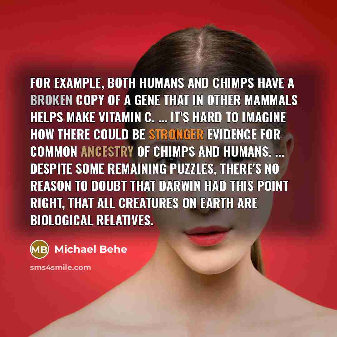“For example, both humans and chimps have a broken copy of a gene that in other mammals helps make vitamin C. ... It's hard to imagine how there could be stronger evidence for common ancestry of chimps and humans. ... Despite some remaining puzzles, there's no reason to doubt that Darwin had this…” quote by Michael Behe