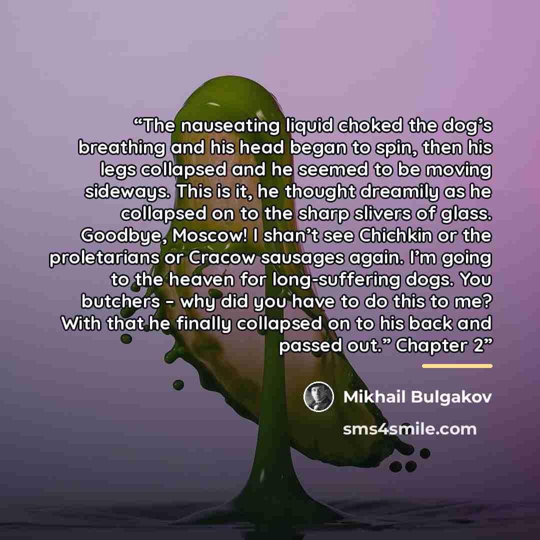 “The nauseating liquid choked the dog’s breathing and his head began to spin, then his legs collapsed and he seemed to be moving sideways. This is it, he thought dreamily as he collapsed on to the sharp slivers of glass. Goodbye, Moscow! I shan’t see Chichkin or the proletarians or Cracow sausages…” quote by Mikhail Bulgakov