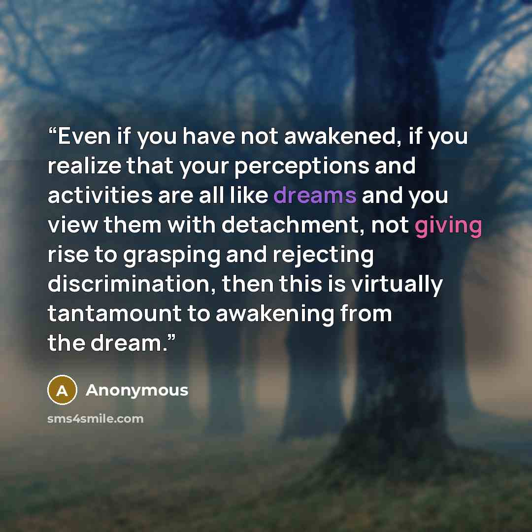 “Even if you have not awakened, if you realize that your perceptions and activities are all like dreams and you view them with detachment, not giving rise to grasping and rejecting discrimination, then this is virtually tantamount to awakening from the dream.” quote by Anonymous