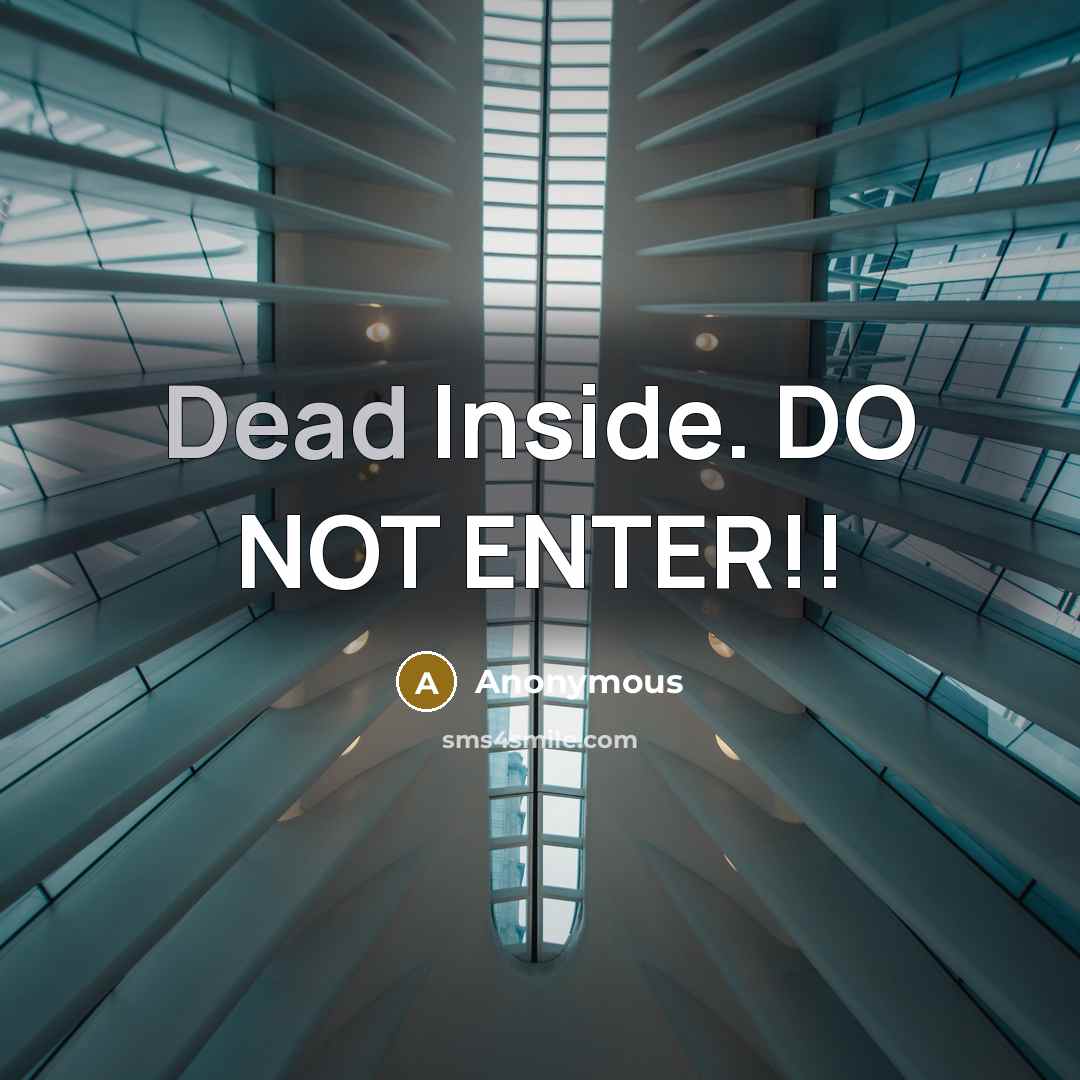 “Dead Inside. DO NOT ENTER!!” quote by Anonymous