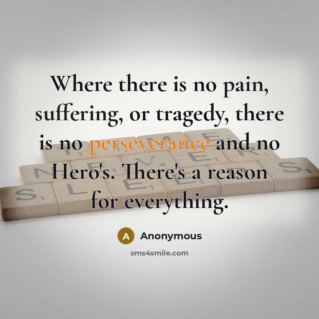 “Where there is no pain, suffering, or tragedy, there is no perseverance and no Hero's. There's a reason for everything.” quote by Anonymous