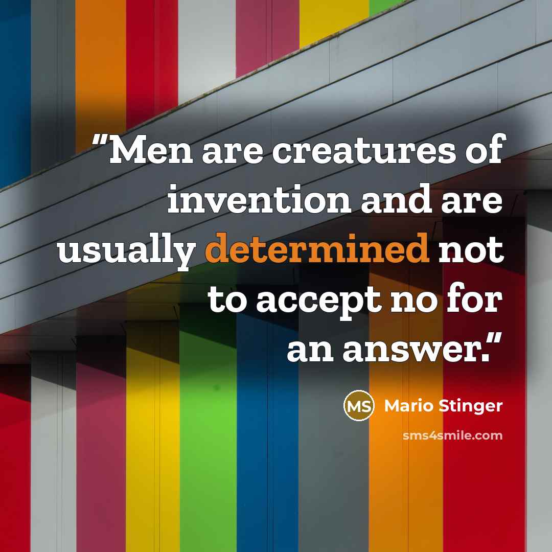 “Men are creatures of invention and are usually determined not to accept no for an answer.” quote by Mario Stinger