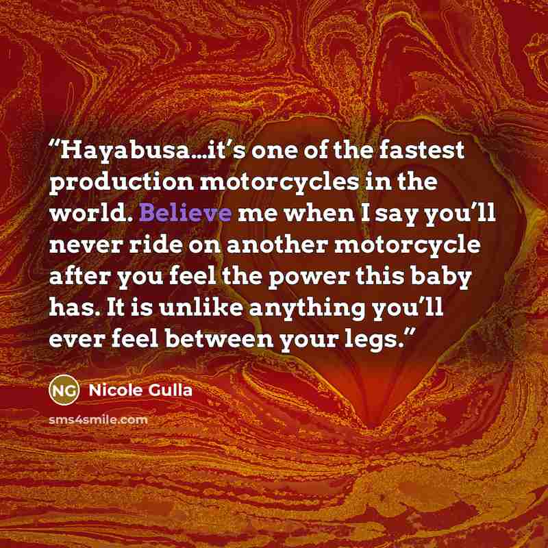 “Hayabusa…it’s one of the fastest production motorcycles in the world. Believe me when I say you’ll never ride on another motorcycle after you feel the power this baby has. It is unlike anything you’ll ever feel between your legs.” quote by Nicole Gulla