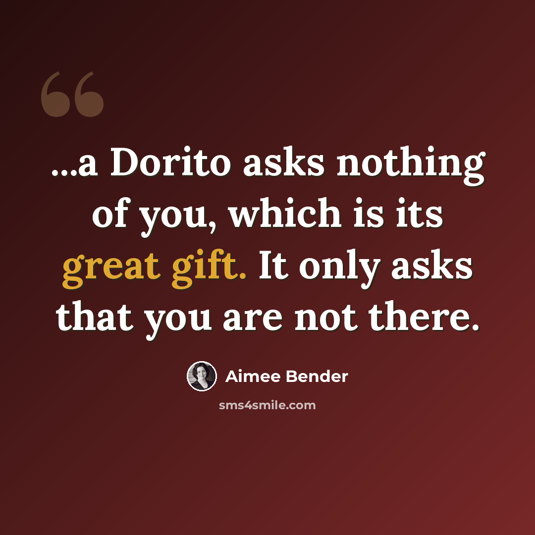 “...a Dorito asks nothing of you, which is its great gift. It only asks that you are not there.” quote by Aimee Bender