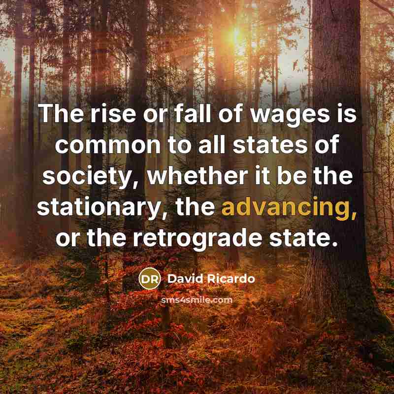 “The rise or fall of wages is common to all states of society, whether it be the stationary, the advancing, or the retrograde state.” quote by David Ricardo