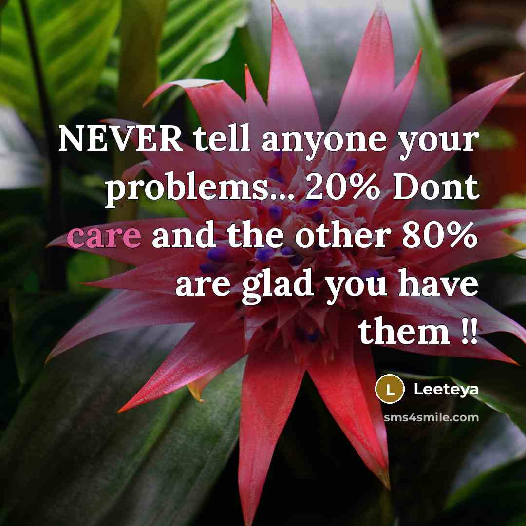 “NEVER tell anyone your problems... 20% Dont care and the other 80% are glad you have them !!” quote by Leeteya