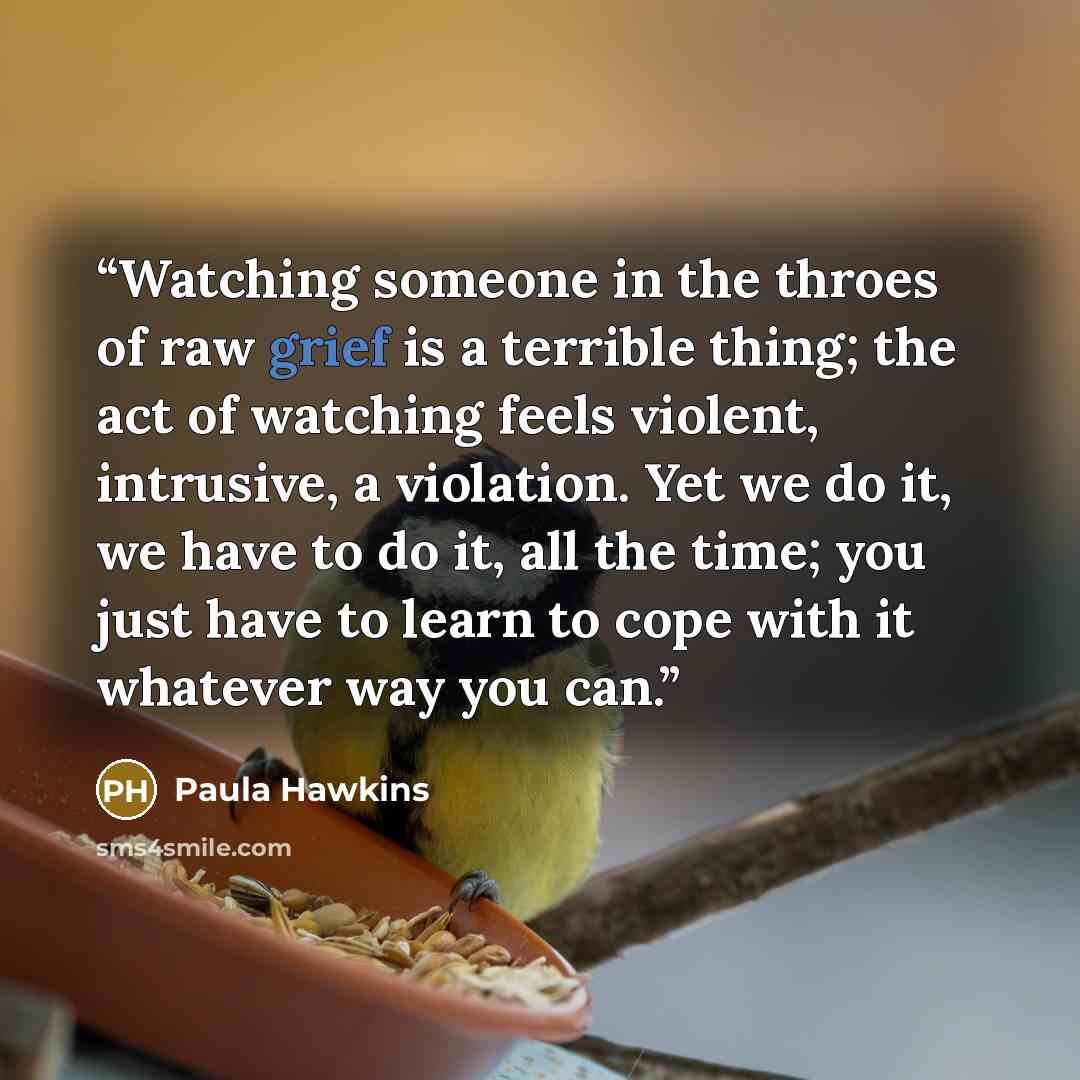 “Watching someone in the throes of raw grief is a terrible thing; the act of watching feels violent, intrusive, a violation. Yet we do it, we have to do it, all the time; you just have to learn to cope with it whatever way you can.” quote by Paula Hawkins