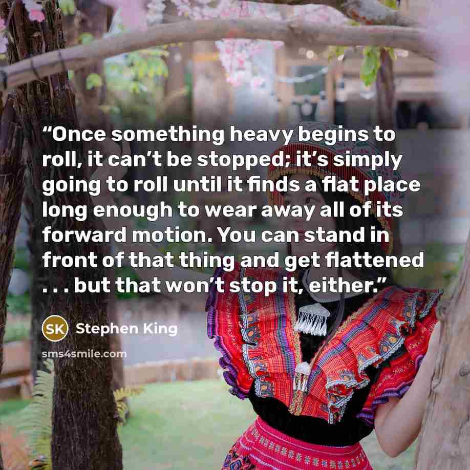 “Once something heavy begins to roll, it can’t be stopped; it’s simply going to roll until it finds a flat place long enough to wear away all of its forward motion. You can stand in front of that thing and get flattened . . . but that won’t stop it, either.” quote by Stephen King