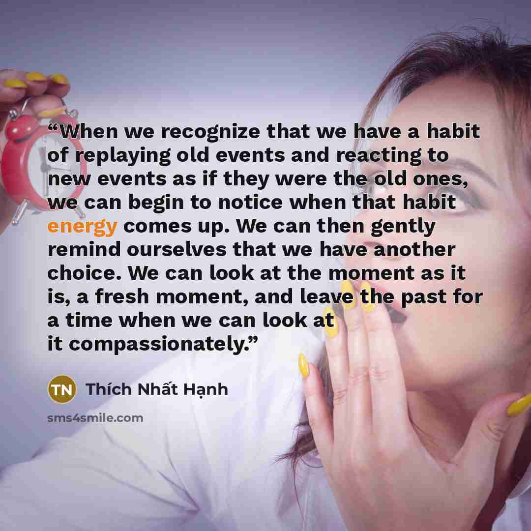 “When we recognize that we have a habit of replaying old events and reacting to new events as if they were the old ones, we can begin to notice when that habit energy comes up. We can then gently remind ourselves that we have another choice. We can look at the moment as it is, a fresh moment, and…” quote by Thích Nhất Hạnh