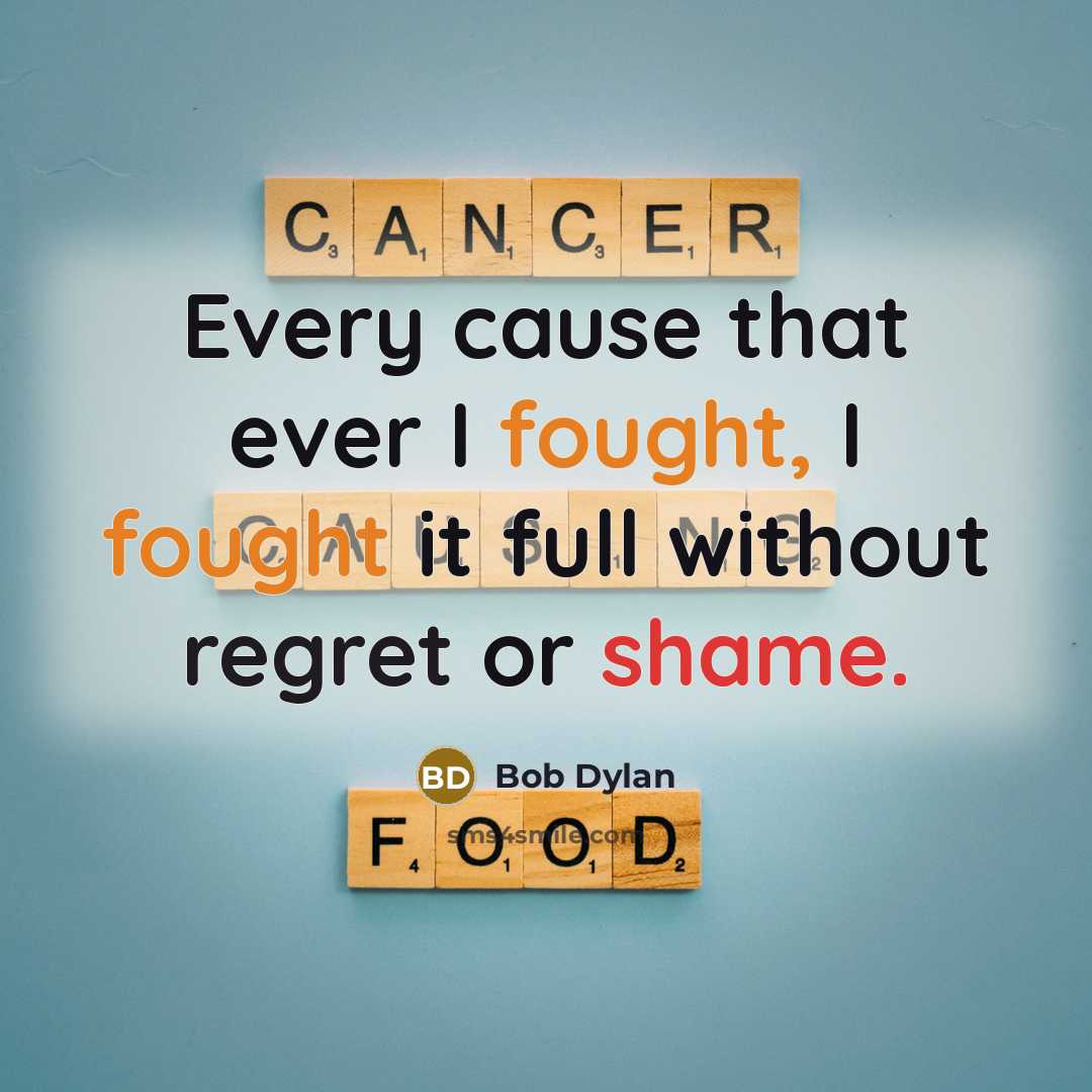 “Every cause that ever I fought, I fought it full without regret or shame.” quote by Bob Dylan