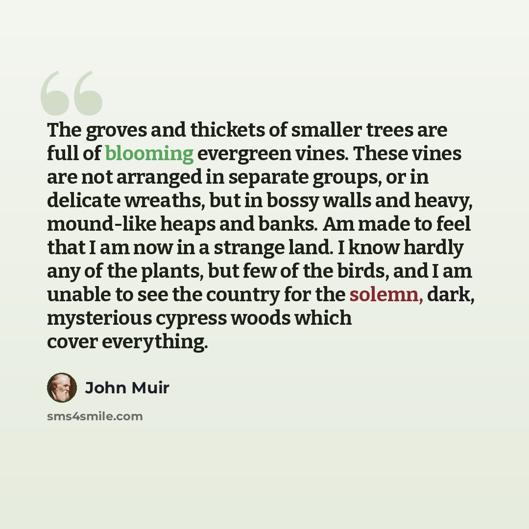 “The groves and thickets of smaller trees are full of blooming evergreen vines. These vines are not arranged in separate groups, or in delicate wreaths, but in bossy walls and heavy, mound-like heaps and banks. Am made to feel that I am now in a strange land. I know hardly any of the plants, but…” quote by John Muir