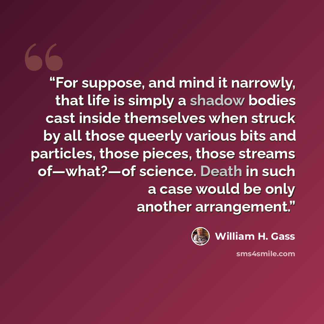 “For suppose, and mind it narrowly, that life is simply a shadow bodies cast inside themselves when struck by all those queerly various bits and particles, those pieces, those streams of—what?—of science. Death in such a case would be only another arrangement.” quote by William H. Gass