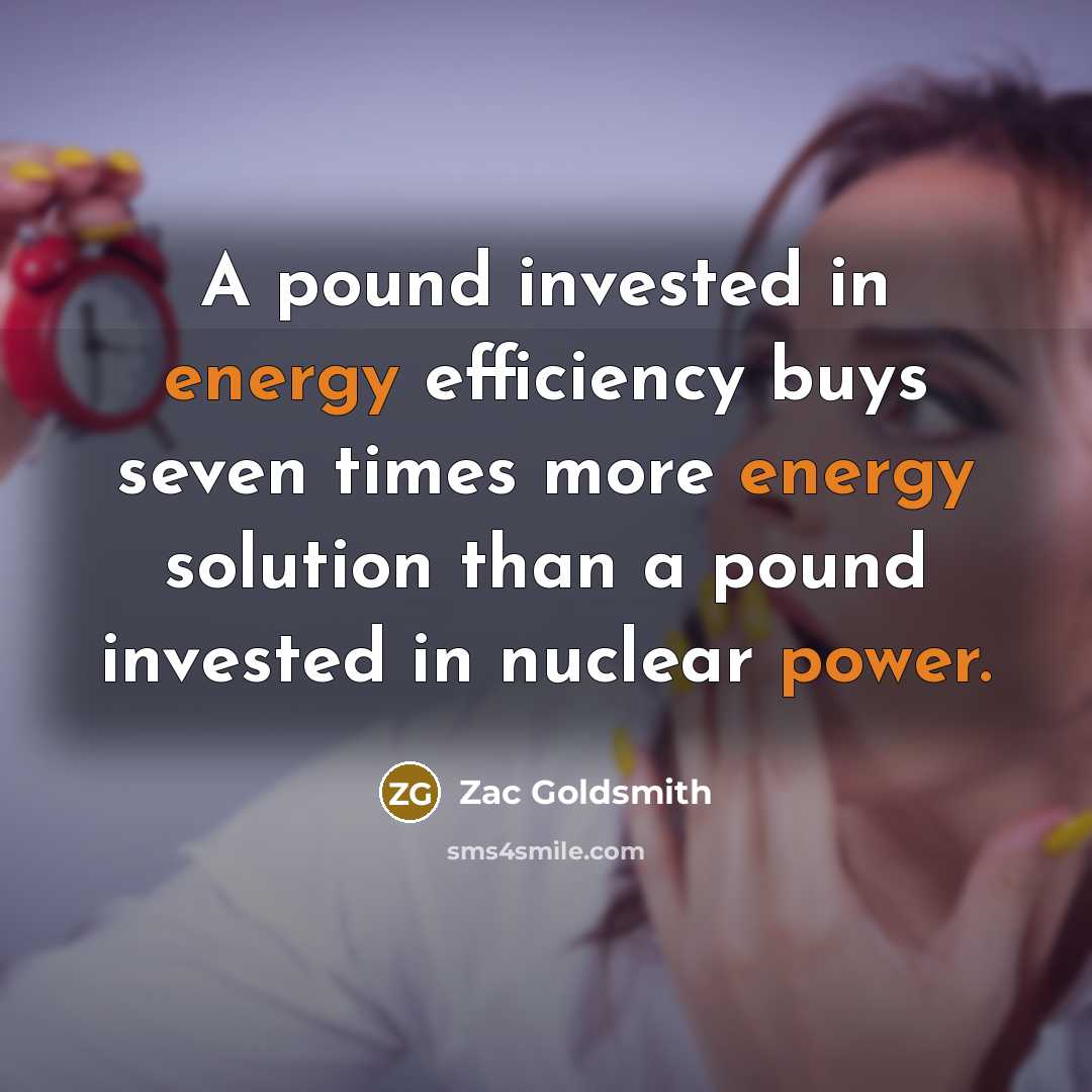 “A pound invested in energy efficiency buys seven times more energy solution than a pound invested in nuclear power.” quote by Zac Goldsmith