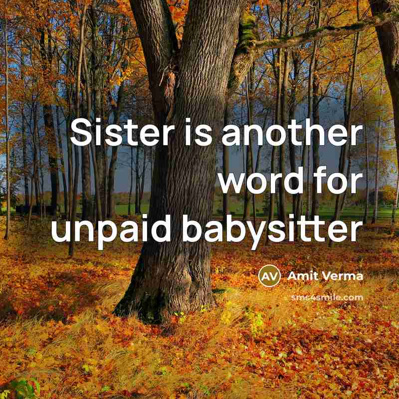 “Sister is another word for unpaid babysitter” quote by Amit Verma