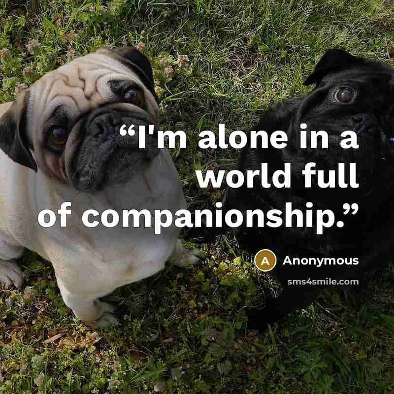 “I'm alone in a world full of companionship.” quote by Anonymous