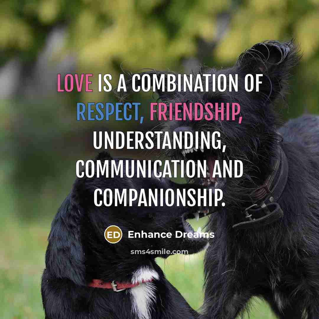 “Love is a combination of respect, friendship, understanding, communication and companionship.” quote by Enhance Dreams