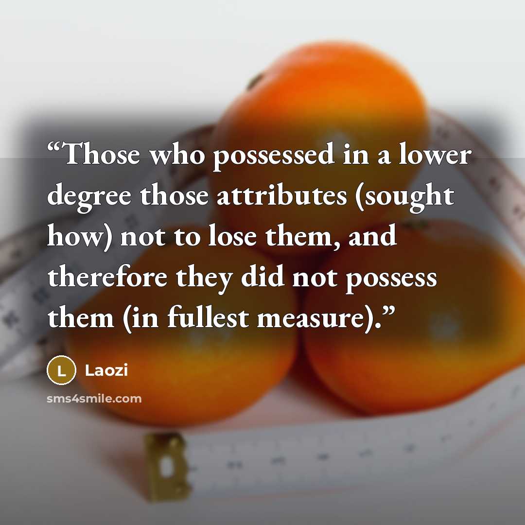 “Those who possessed in a lower degree those attributes (sought how) not to lose them, and therefore they did not possess them (in fullest measure).” quote by Laozi