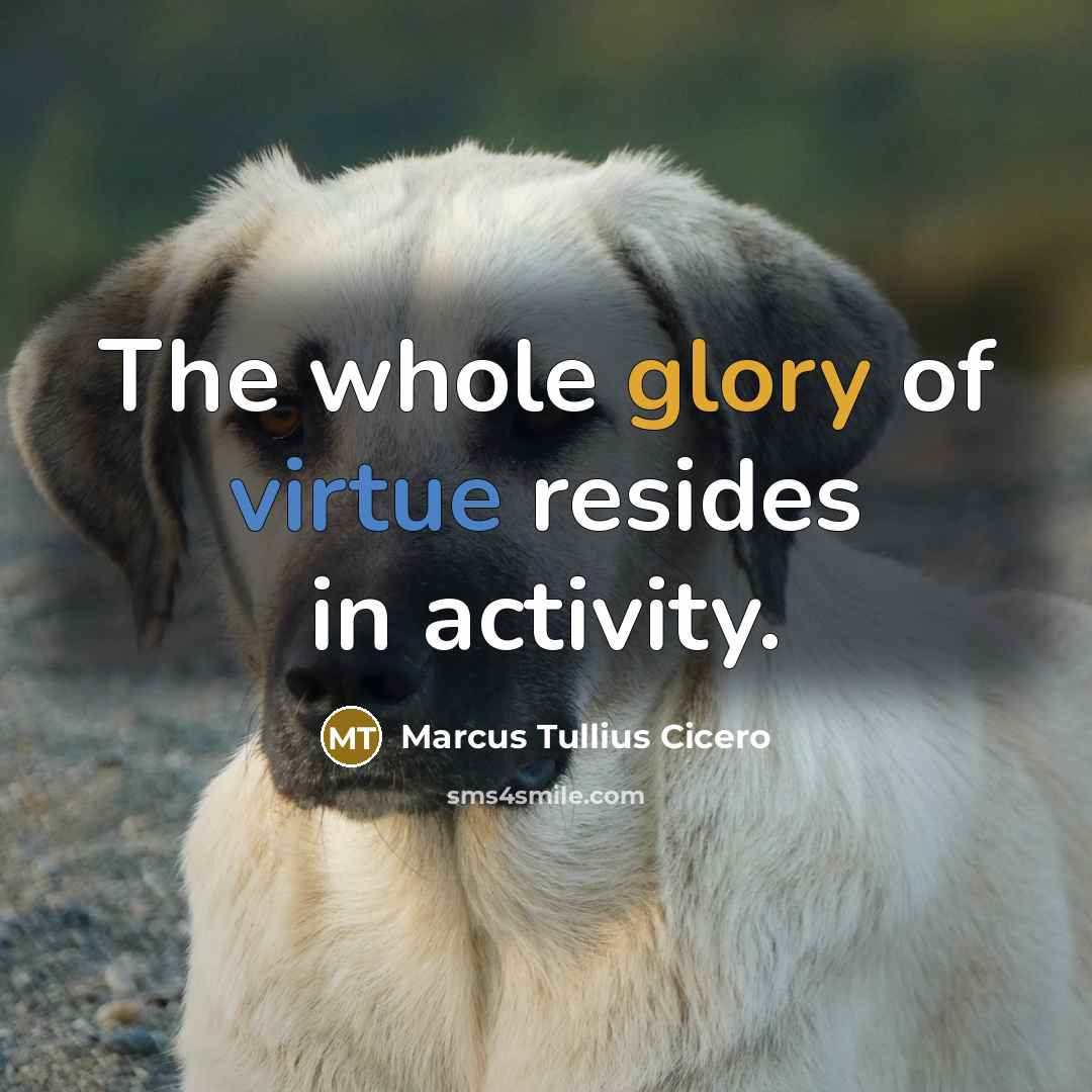 “The whole glory of virtue resides in activity.” quote by Marcus Tullius Cicero