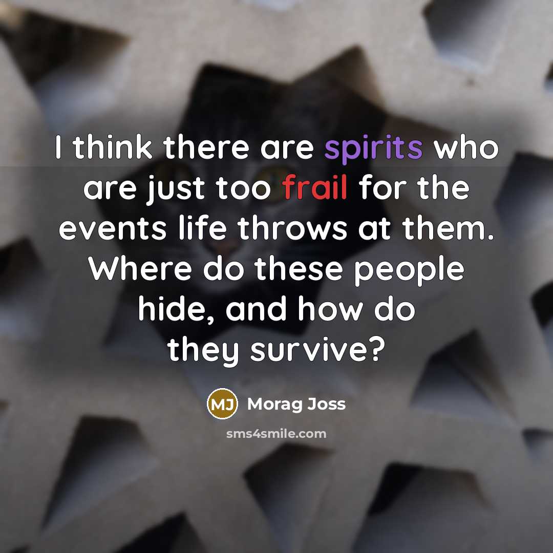 “I think there are spirits who are just too frail for the events life throws at them. Where do these people hide, and how do they survive?” quote by Morag Joss