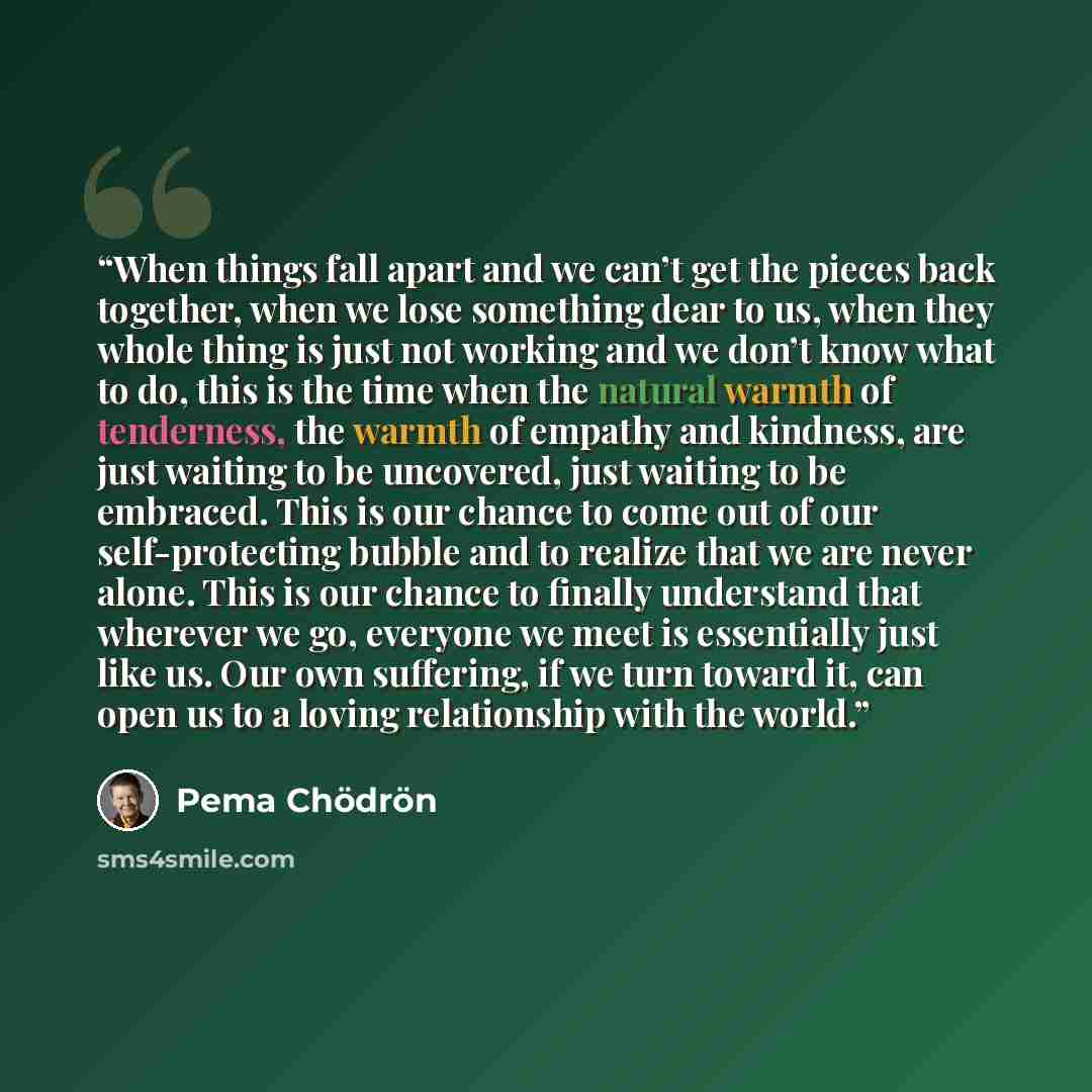 “When things fall apart and we can’t get the pieces back together, when we lose something dear to us, when they whole thing is just not working and we don’t know what to do, this is the time when the natural warmth of tenderness, the warmth of empathy and kindness, are just waiting to be uncovered…” quote by Pema Chödrön