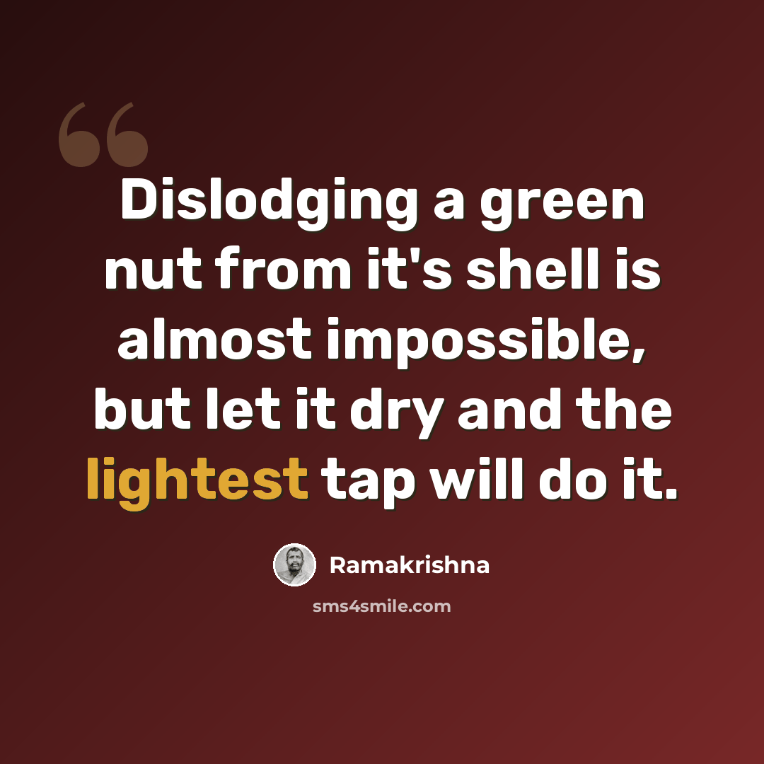 “Dislodging a green nut from it's shell is almost impossible, but let it dry and the lightest tap will do it.” quote by Ramakrishna