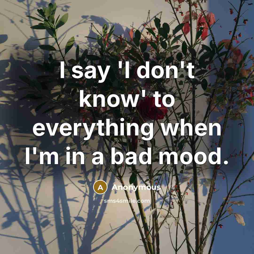 “I say 'I don't know' to everything when I'm in a bad mood.” quote by Anonymous
