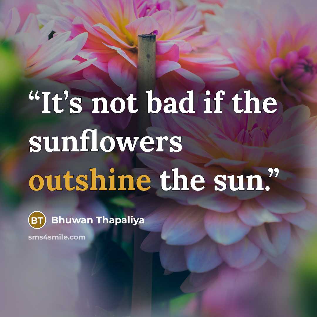 “It’s not bad if the sunflowers outshine the sun.” quote by Bhuwan Thapaliya