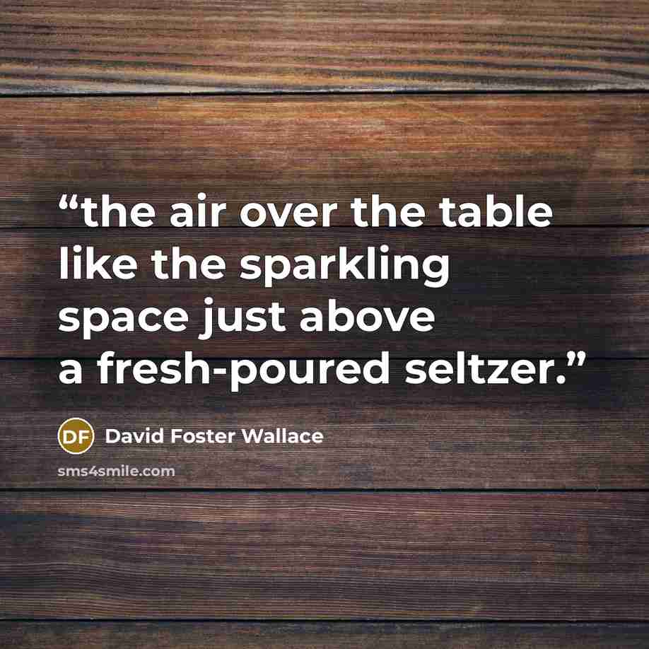 “the air over the table like the sparkling space just above a fresh-poured seltzer.” quote by David Foster Wallace