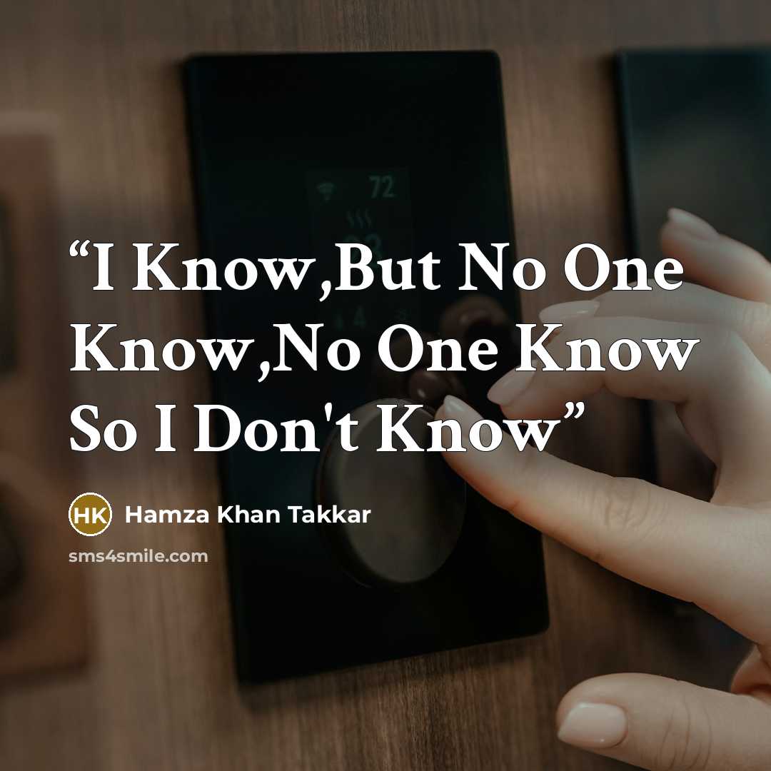 “I Know,But No One Know,No One Know So I Don't Know” quote by Hamza Khan Takkar