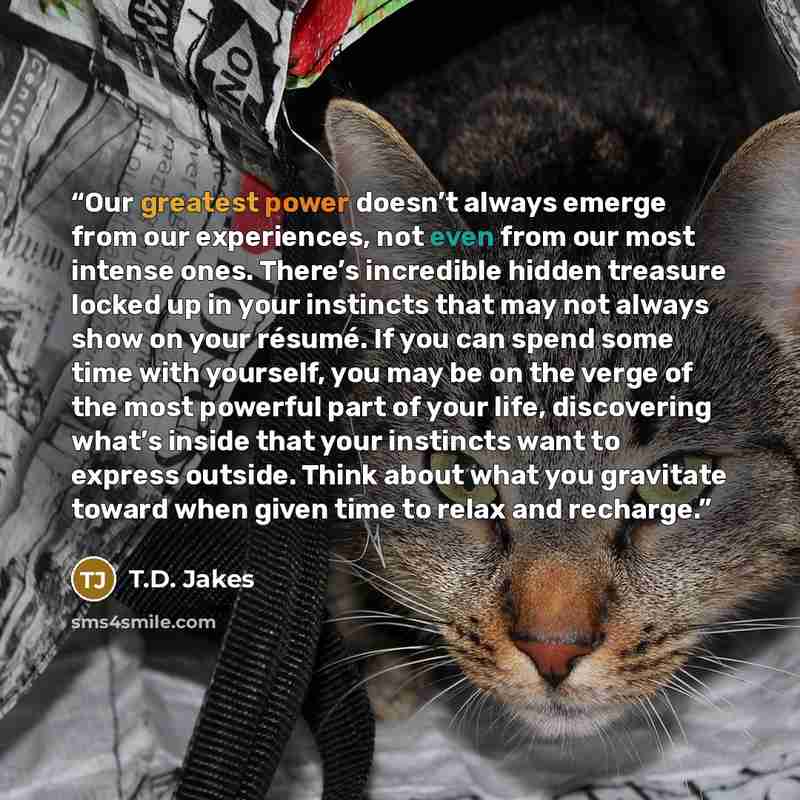 “Our greatest power doesn’t always emerge from our experiences, not even from our most intense ones. There’s incredible hidden treasure locked up in your instincts that may not always show on your résumé. If you can spend some time with yourself, you may be on the verge of the most powerful part of…” quote by T.D. Jakes