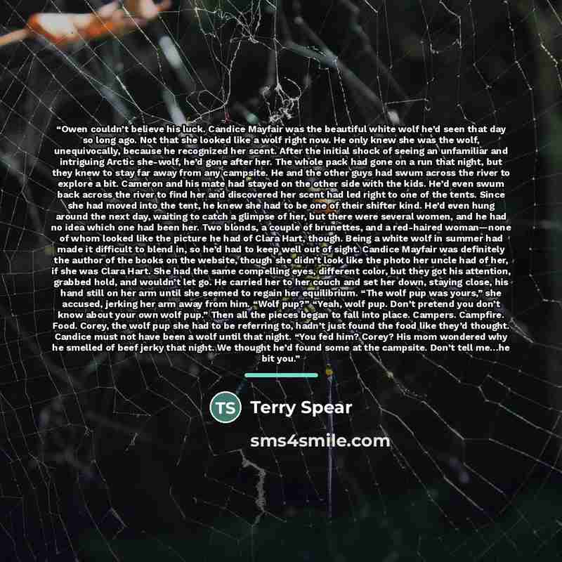 “Owen couldn’t believe his luck. Candice Mayfair was the beautiful white wolf he’d seen that day so long ago. Not that she looked like a wolf right now. He only knew she was the wolf, unequivocally, because he recognized her scent. After the initial shock of seeing an unfamiliar and intriguing…” quote by Terry Spear
