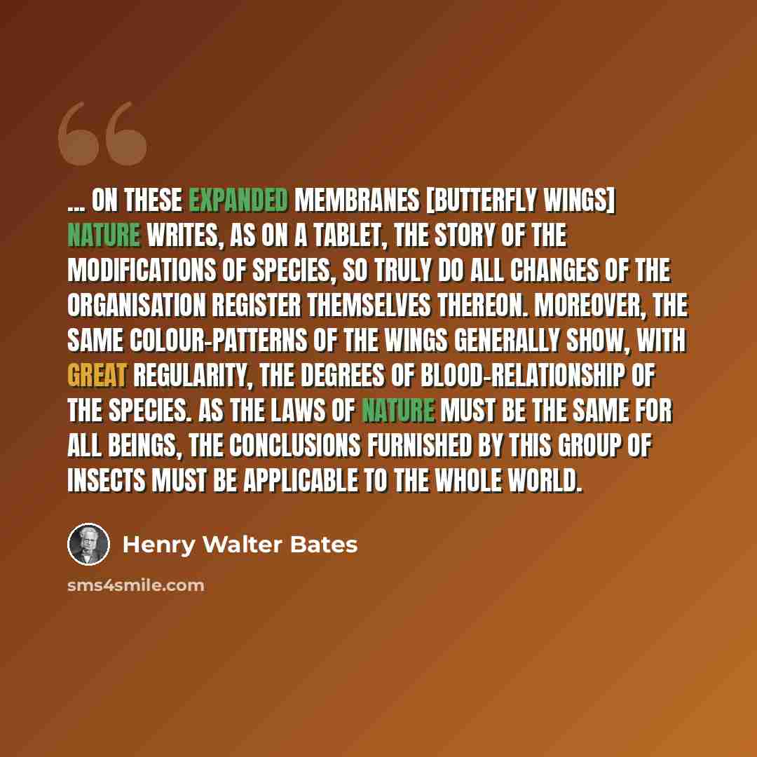 “... on these expanded membranes [butterfly wings] Nature writes, as on a tablet, the story of the modifications of species, so truly do all changes of the organisation register themselves thereon. Moreover, the same colour-patterns of the wings generally show, with great regularity, the degrees of…” quote by Henry Walter Bates