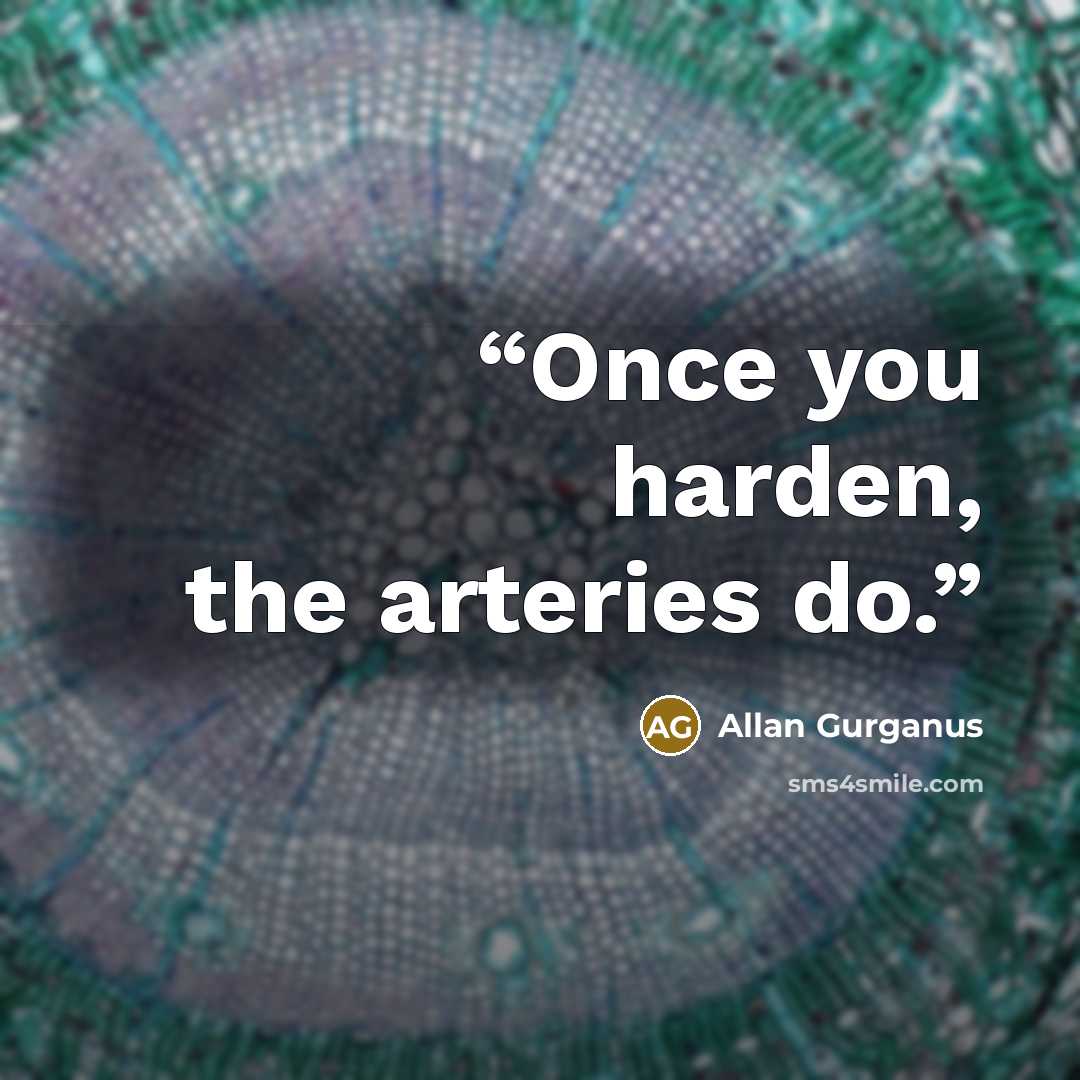 “Once you harden, the arteries do.” quote by Allan Gurganus
