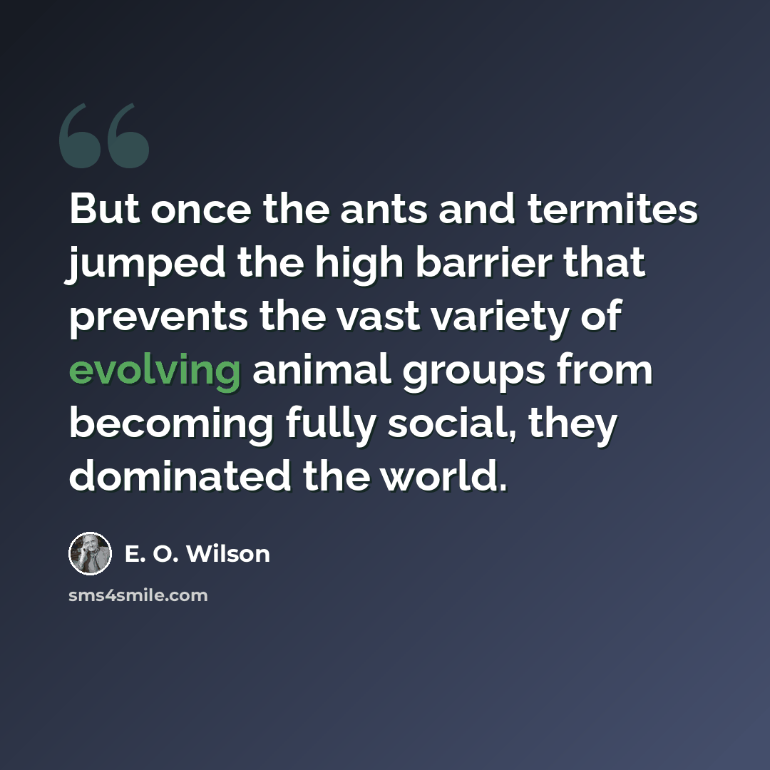 “But once the ants and termites jumped the high barrier that prevents the vast variety of evolving animal groups from becoming fully social, they dominated the world.” quote by E. O. Wilson
