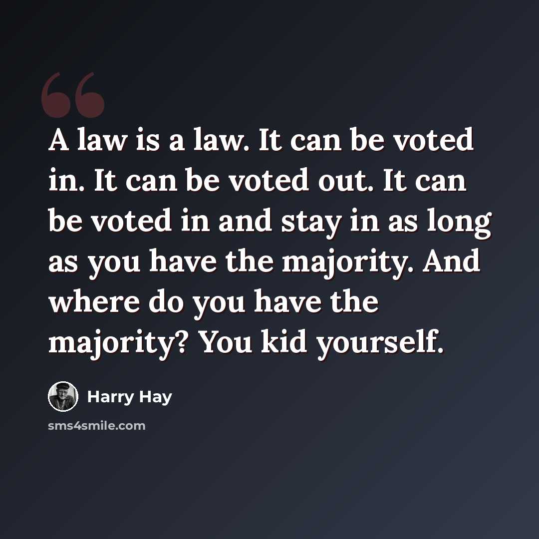 “A law is a law. It can be voted in. It can be voted out. It can be voted in and stay in as long as you have the majority. And where do you have the majority? You kid yourself.” quote by Harry Hay