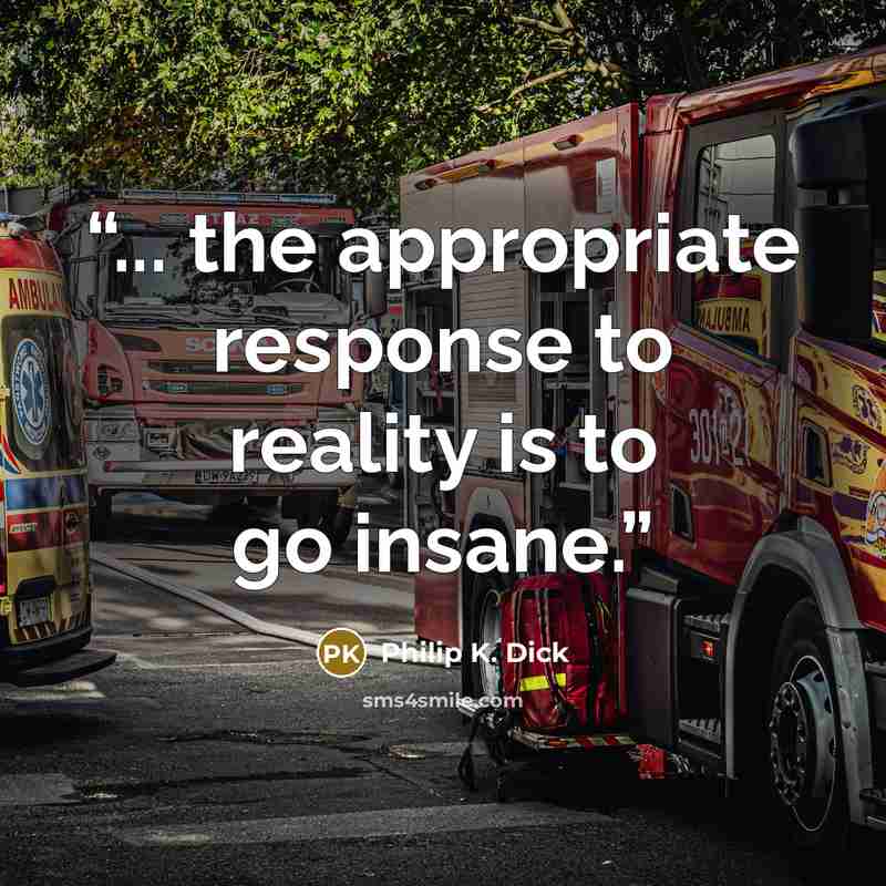 “... the appropriate response to reality is to go insane.” quote by Philip K. Dick