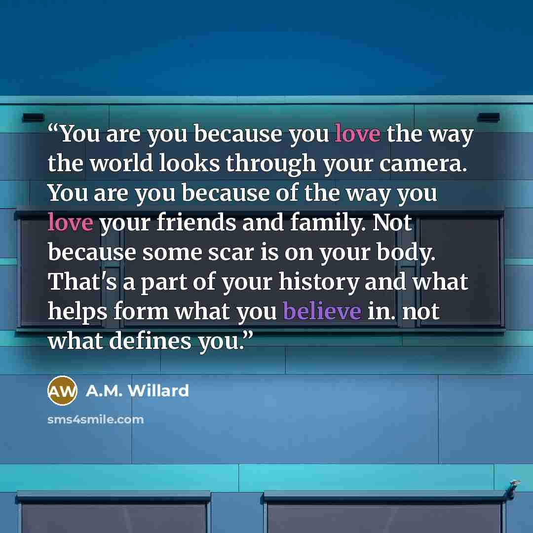 “You are you because you love the way the world looks through your camera. You are you because of the way you love your friends and family. Not because some scar is on your body. That's a part of your history and what helps form what you believe in. not what defines you.” quote by A.M. Willard