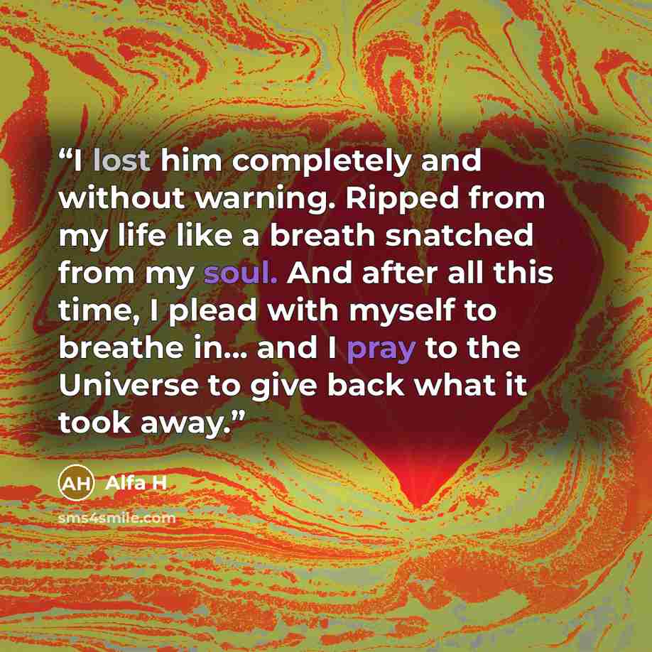 “I lost him completely and without warning. Ripped from my life like a breath snatched from my soul. And after all this time, I plead with myself to breathe in... and I pray to the Universe to give back what it took away.” quote by Alfa H
