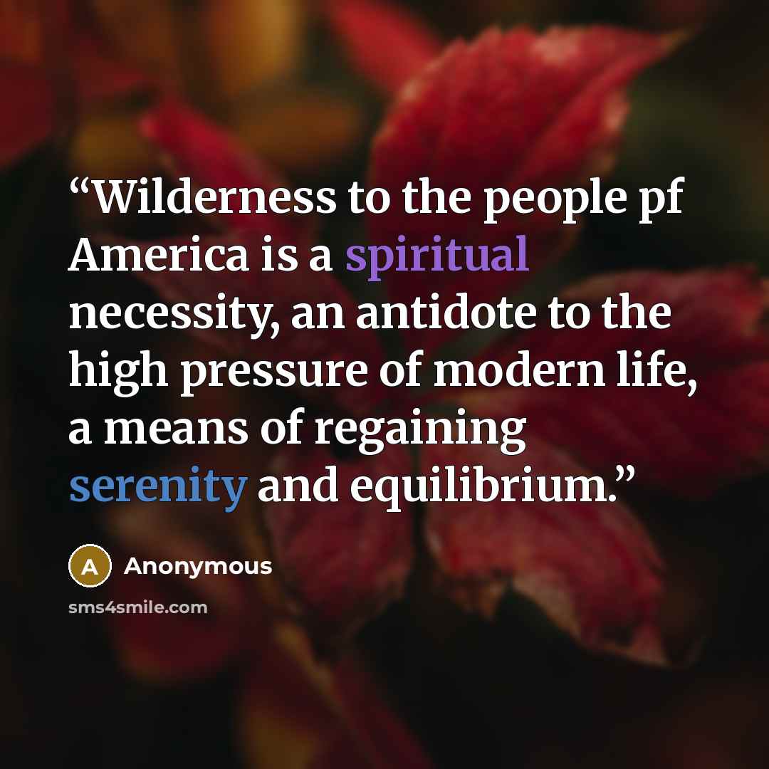 “Wilderness to the people pf America is a spiritual necessity, an antidote to the high pressure of modern life, a means of regaining serenity and equilibrium.” quote by Anonymous