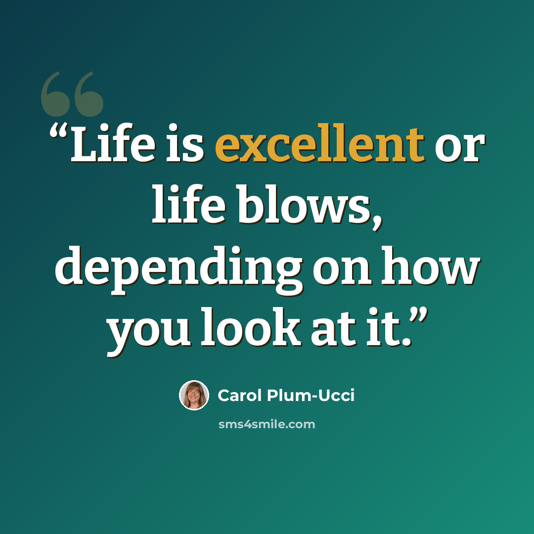 “Life is excellent or life blows, depending on how you look at it.” quote by Carol Plum-Ucci