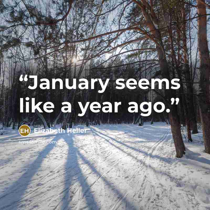 “January seems like a year ago.” quote by Elizabeth Heller