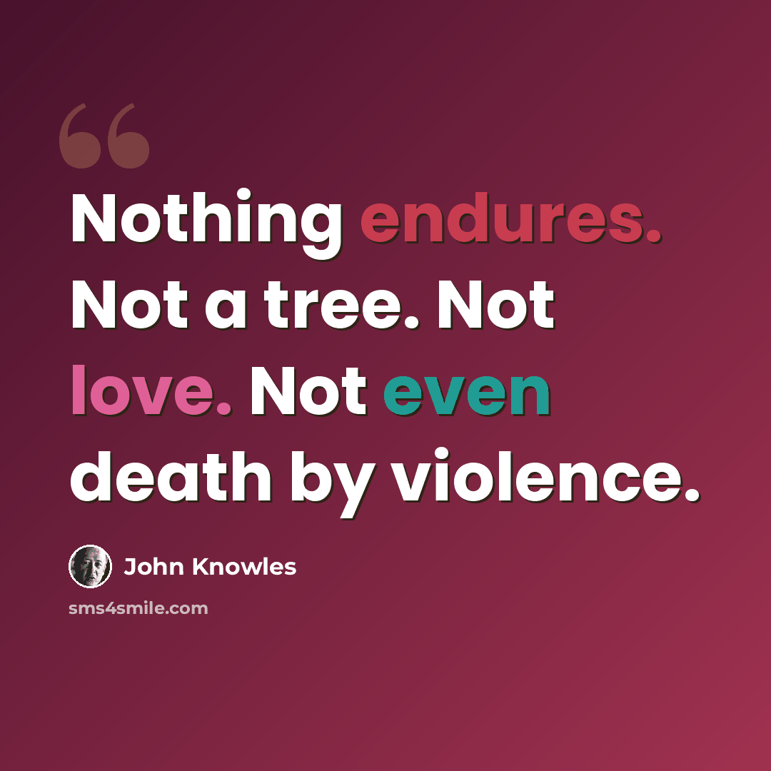 “Nothing endures. Not a tree. Not love. Not even death by violence.” quote by John Knowles