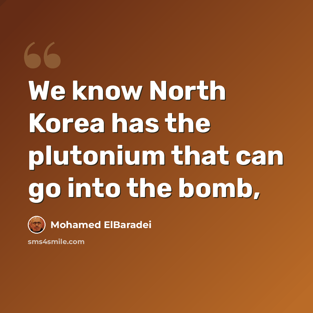 “We know North Korea has the plutonium that can go into the bomb,” quote by Mohamed ElBaradei