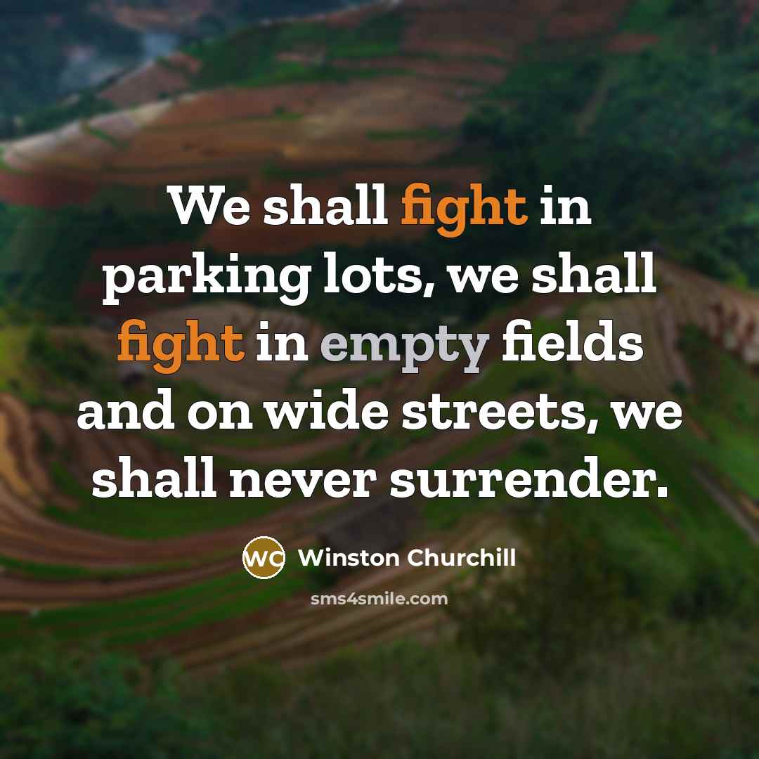 “We shall fight in parking lots, we shall fight in empty fields and on wide streets, we shall never surrender.” quote by Winston Churchill