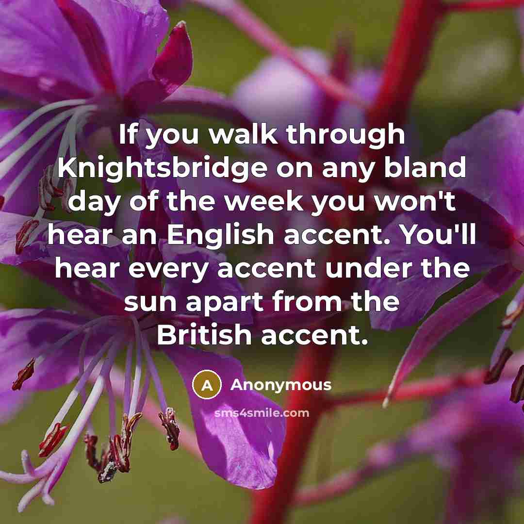 “If you walk through Knightsbridge on any bland day of the week you won't hear an English accent. You'll hear every accent under the sun apart from the British accent.” quote by Anonymous