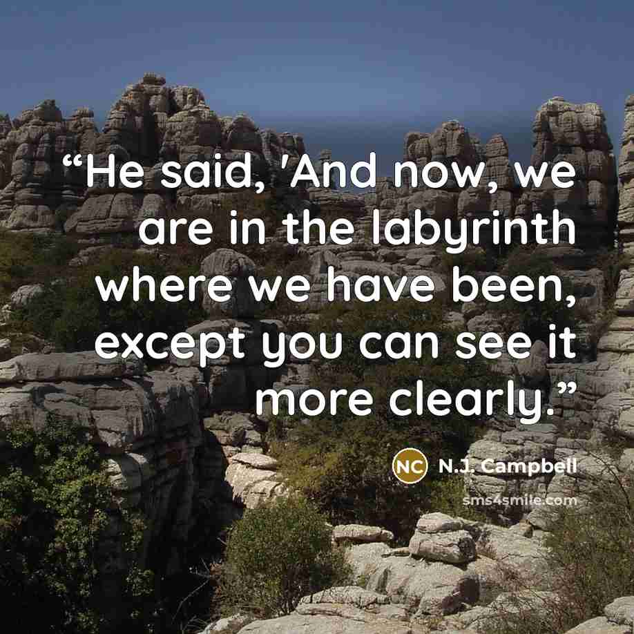 “He said, 'And now, we are in the labyrinth where we have been, except you can see it more clearly.” quote by N.J. Campbell