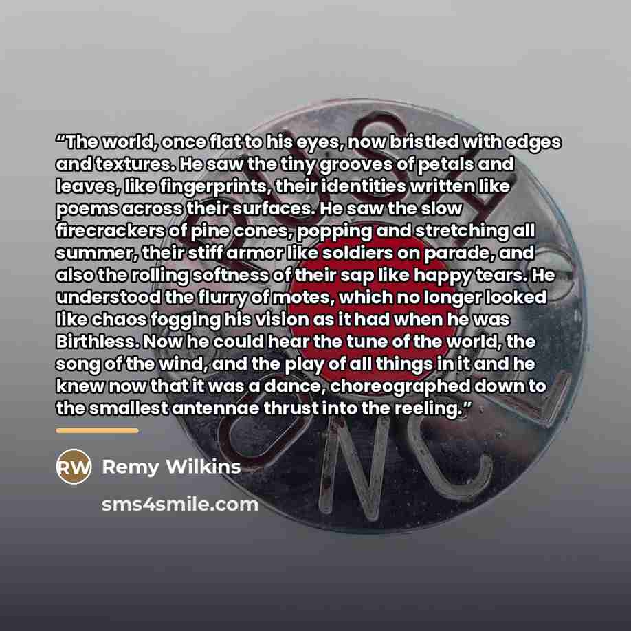 “The world, once flat to his eyes, now bristled with edges and textures. He saw the tiny grooves of petals and leaves, like fingerprints, their identities written like poems across their surfaces. He saw the slow firecrackers of pine cones, popping and stretching all summer, their stiff armor like…” quote by Remy Wilkins